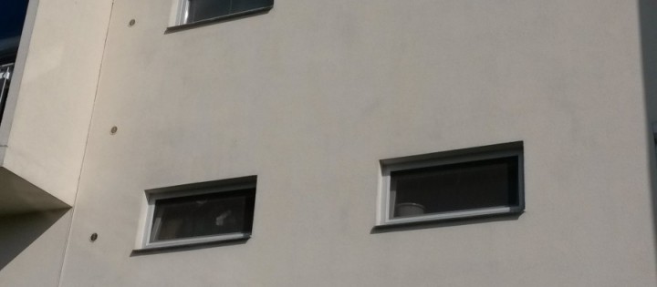 Odstranění plísní a mechů, protiplísňový nátěr Praha